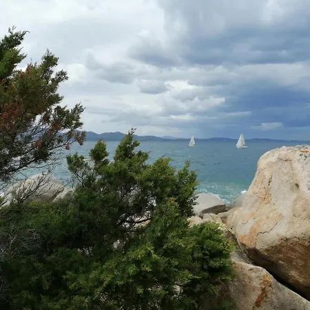 Alta Marea